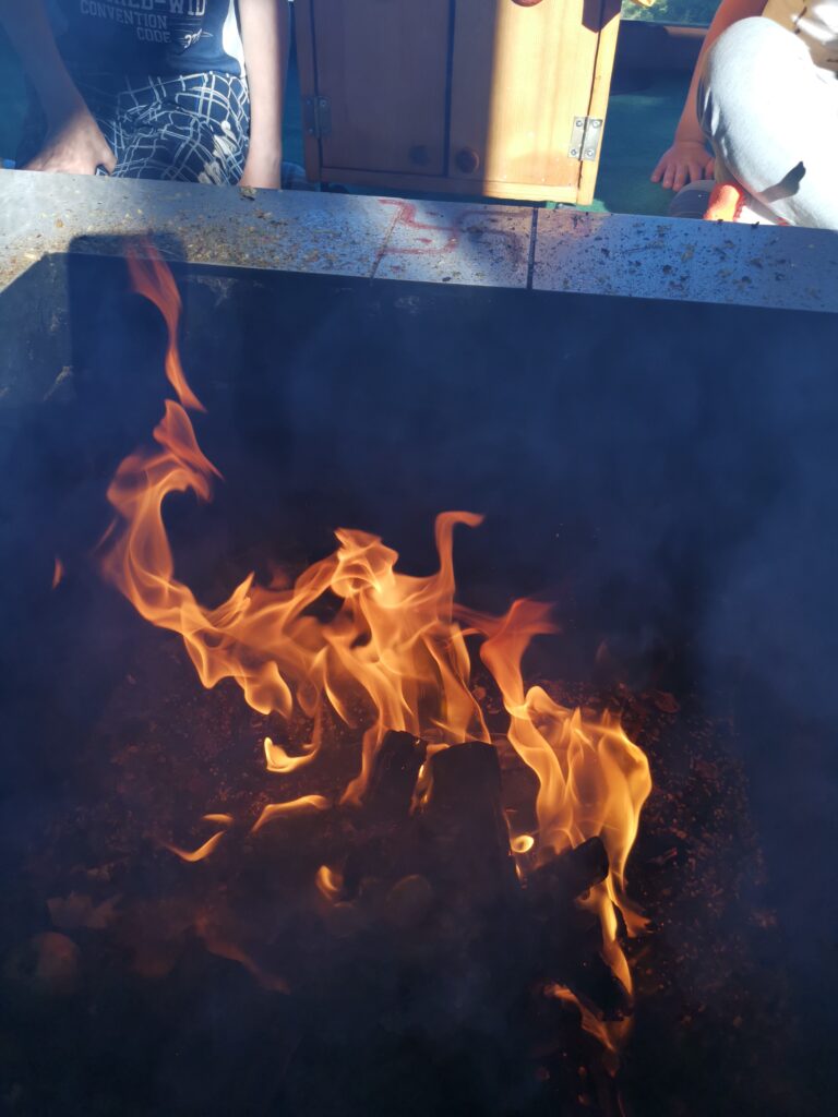 img 20210807 182732 061 768x1024