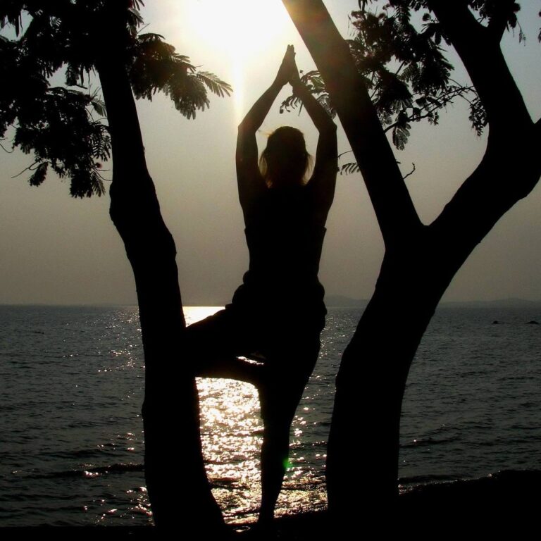 19388483 1351236018244925 2522029989514269467 o 768x768