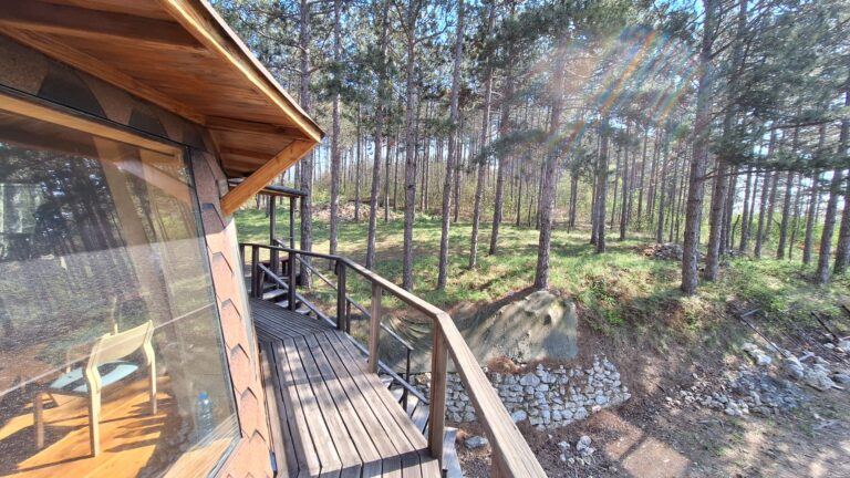 aaa whatsapp image 2025 04 05 at 15.22.56 1 768x432