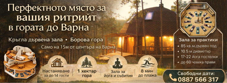 hall yoga banner 1 768x282